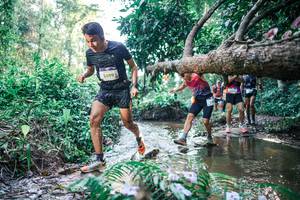 BIB: 
                            <button type="button" onclick="openModal(25435807)" class="btn btn-primary btn-sm float-right btn-popup" data-toggle="modal" data-target=".modal-high-quality">
                        <i class="fas fa-shopping-cart"></i> Add to Cart
                    </button>
                                            <button type="button" onclick="isThisMe(25435807, true)" class="btn btn-success btn-sm float-right btn-popup btn-isme hidden" data-toggle="tooltip" data-placement="bottom" title="นี่คือรูปของคุณใช่ไหม คลิกที่นี่เพื่อเอาเข้าอัลบั้ม">
                        <i class="fas fa-plus"></i> Add to album
                    </button>
                    <button type="button" onclick="isThisMe(25435807, false)" class="btn btn-warning btn-sm float-right btn-popup btn-isnotme hidden">
                        <i class="fas fa-ban"></i> Remove from album
                    </button>